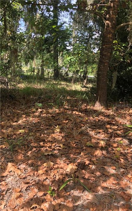 Recently Sold: $39,700 (0.41 acres)