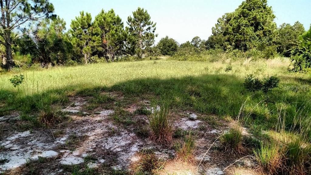 Vendido Recientemente: $11,500 (0.42 acres)