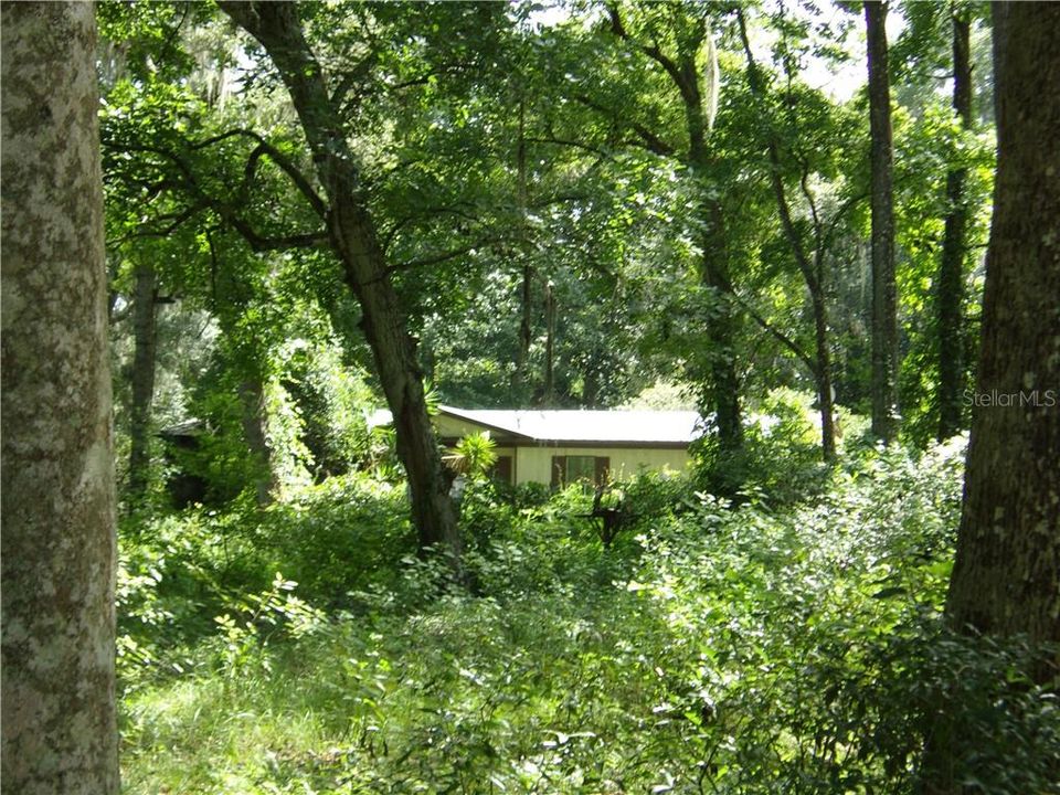 Home / Metal Roof