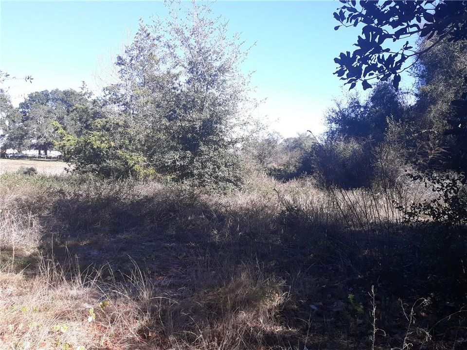 最近售出: $22,900 (0.24 acres)