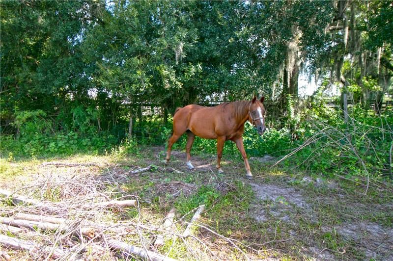 Недавно продано: $55,549 (2.50 acres)