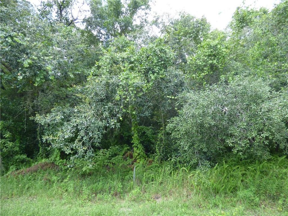 Recently Sold: $3,900 (0.18 acres)