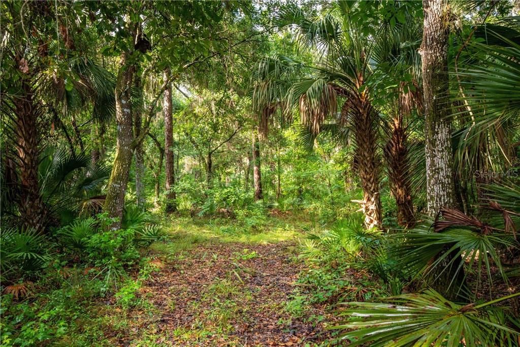 Недавно продано: $247,000 (30.17 acres)