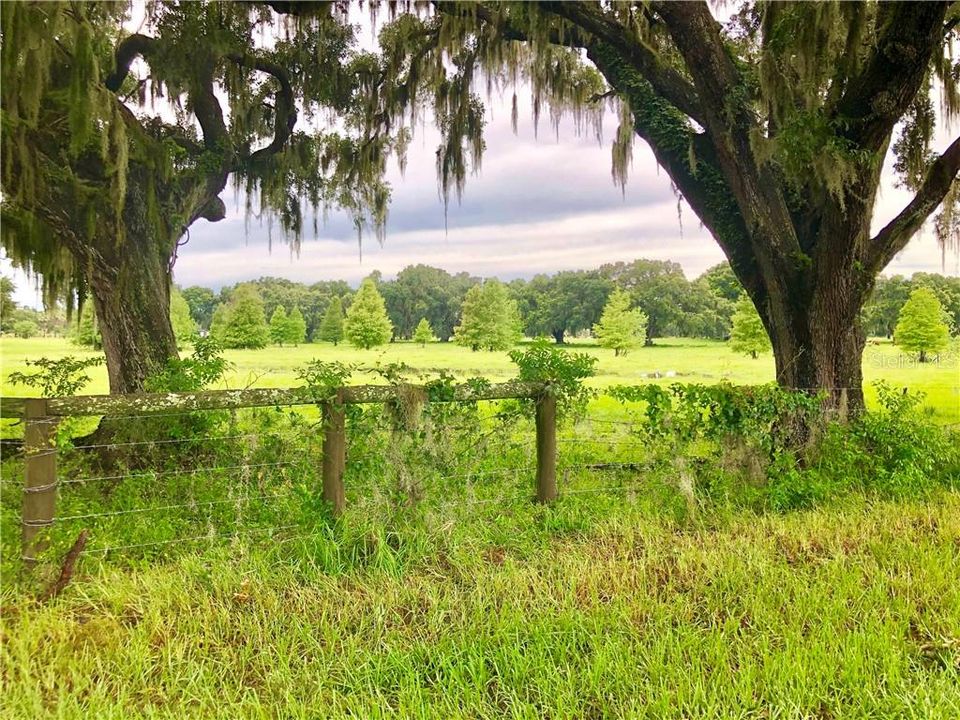 Vendido Recientemente: $150,000 (9.04 acres)