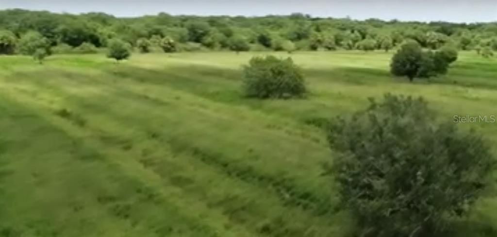 Recently Sold: $280,000 (38.98 acres)