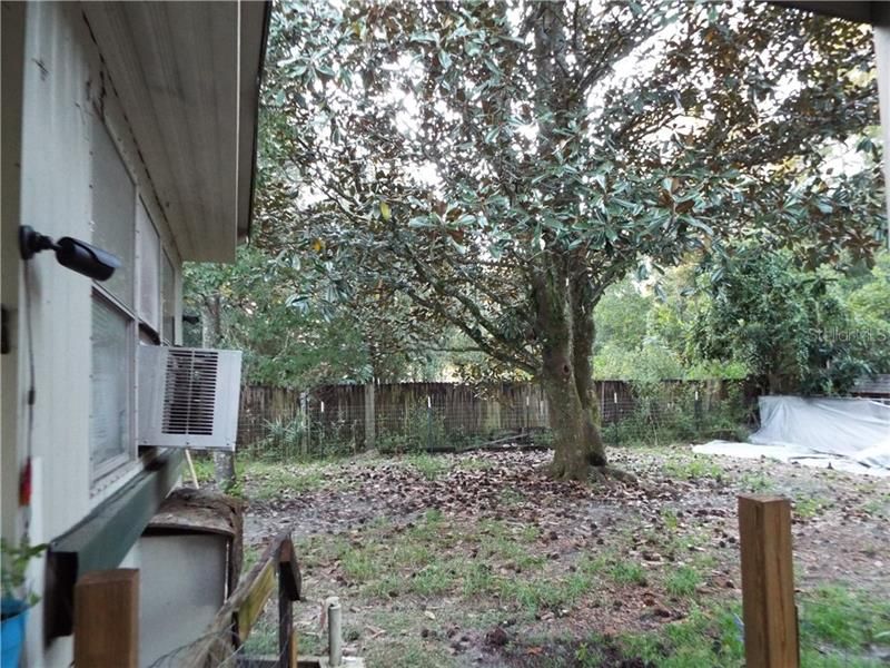 Mature landscape. Notice the camera in the right hand side of this photo. This is one of the 8 cameras around the home.