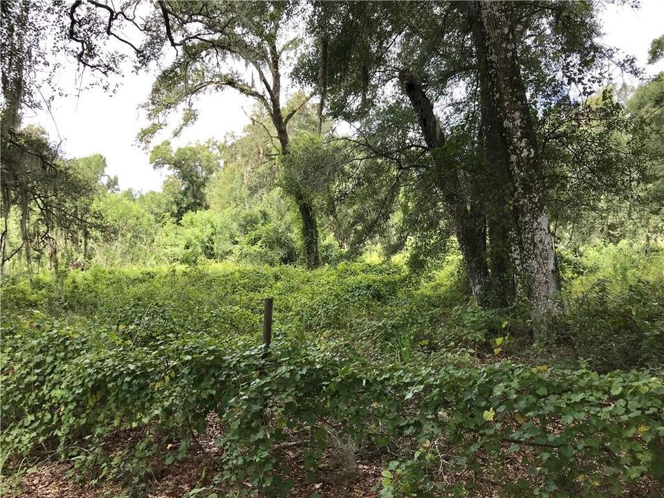 Vendido Recientemente: $69,900 (5.00 acres)