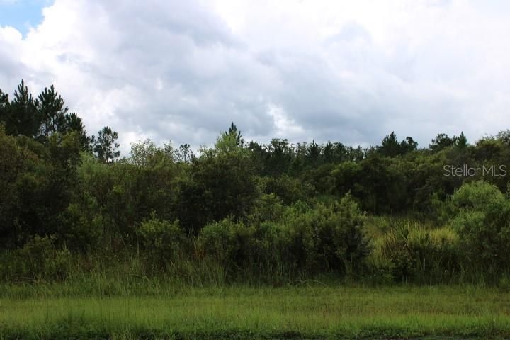Recently Sold: $45,000 (1.24 acres)