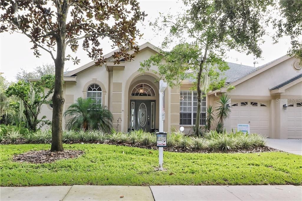 15946 Sorawater Drive, Lithia Florida 33547