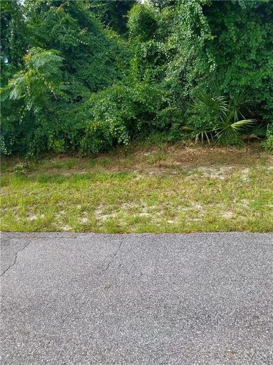 Recently Sold: $33,000 (0.23 acres)