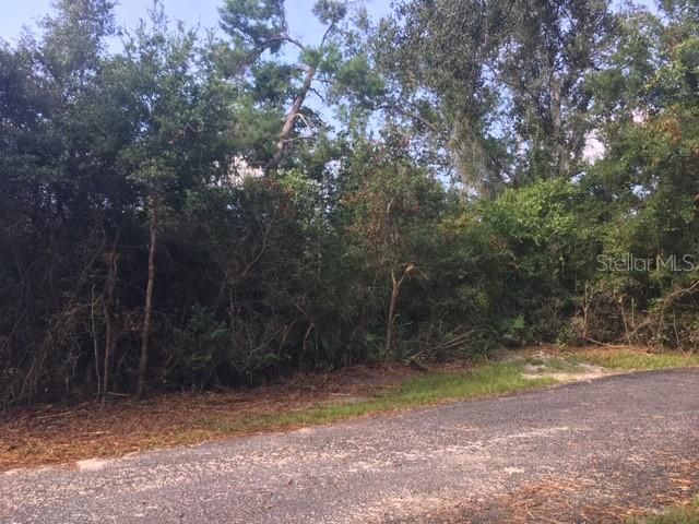 Recently Sold: $28,000 (0.34 acres)