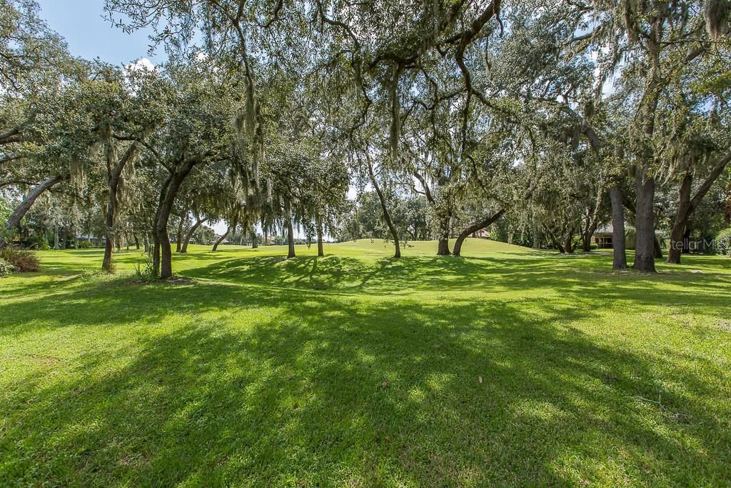 Available lot on Fox Hollow Golf Course's 11th Hole Par 5.  Privacy galore with mature trees & green space behind Lot! View shows all the trees & green space behind the lot looking towards green. Cart path is across the fairway on the right of the green.