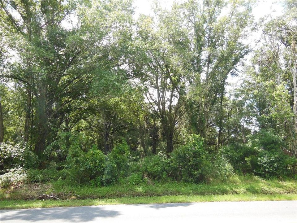 Vendido Recientemente: $150,000 (2.36 acres)