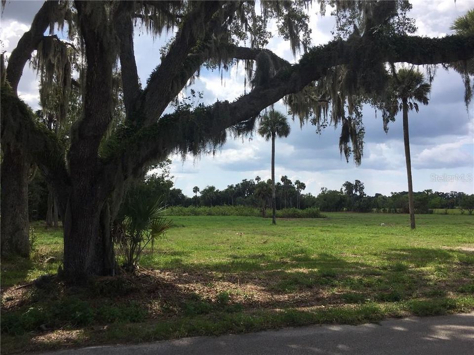 Vendido Recientemente: $595,000 (5.00 acres)