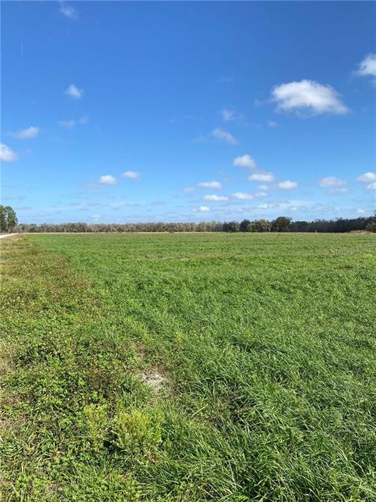 最近售出: $94,900 (5.10 acres)