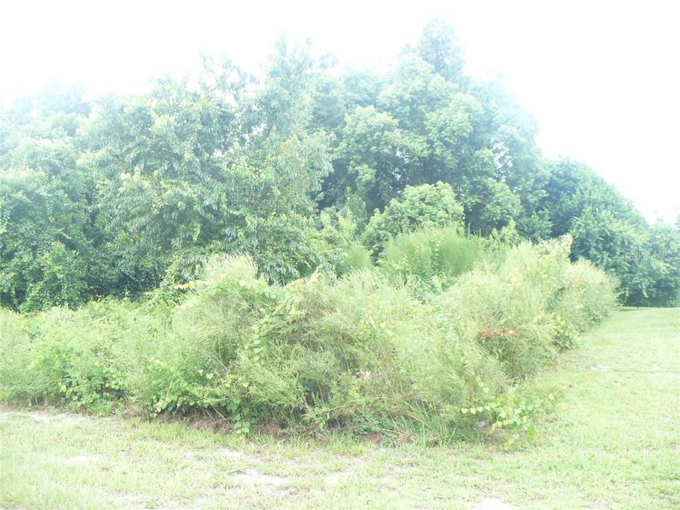 Recently Sold: $30,000 (0.23 acres)