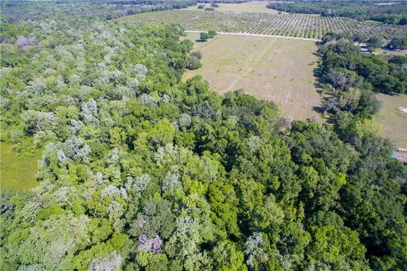 Recently Sold: $189,000 (8.93 acres)