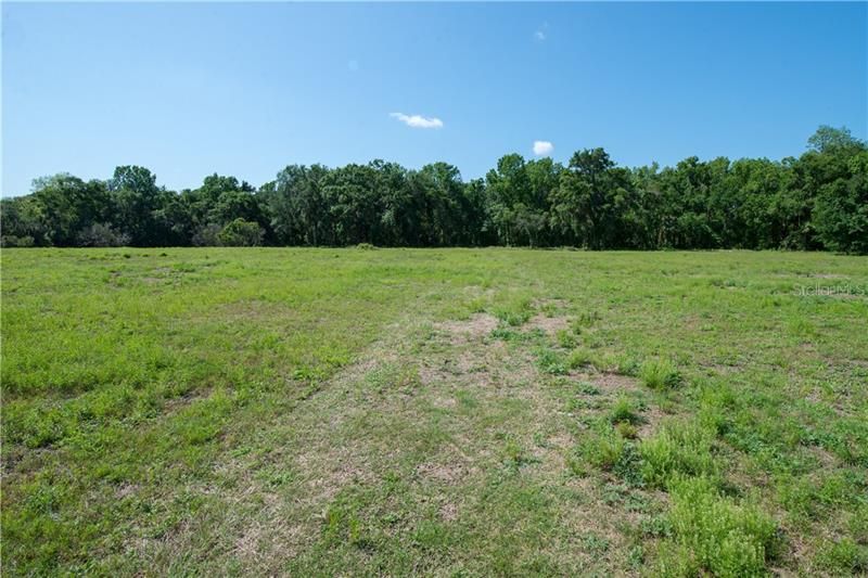 Recently Sold: $189,000 (8.93 acres)