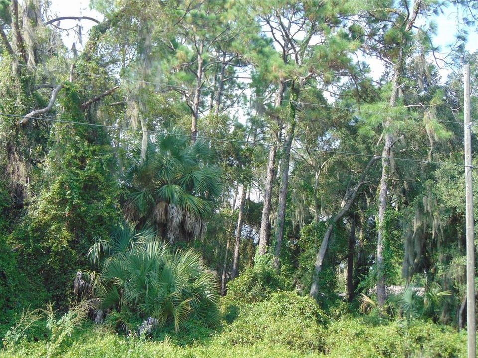 最近售出: $49,999 (0.46 acres)