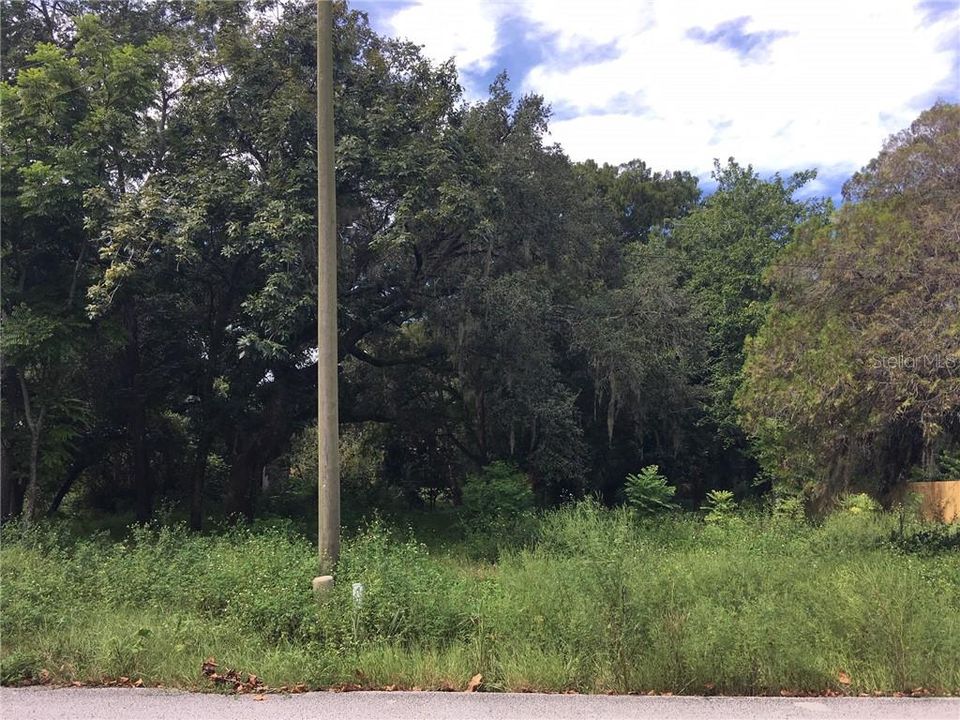 Recently Sold: $25,000 (0.33 acres)