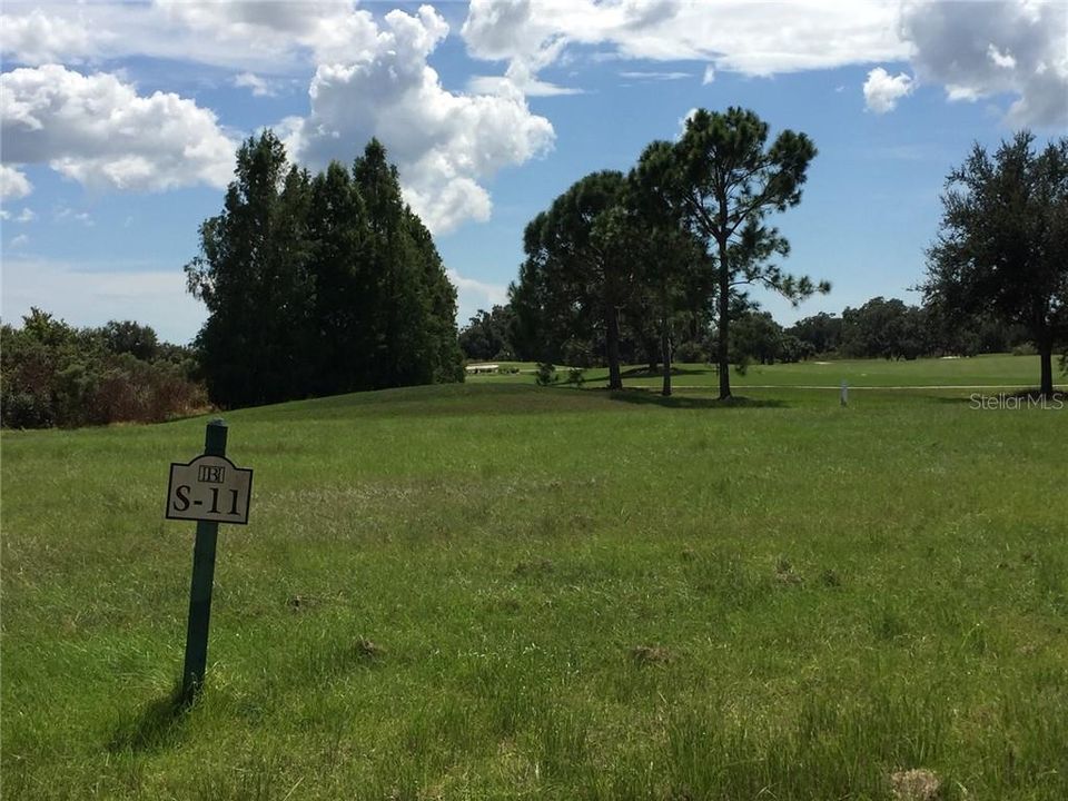 最近售出: $219,000 (0.43 acres)