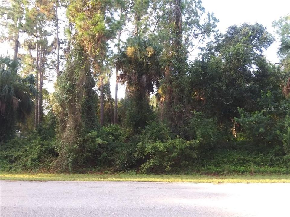 Recently Sold: $23,000 (0.22 acres)