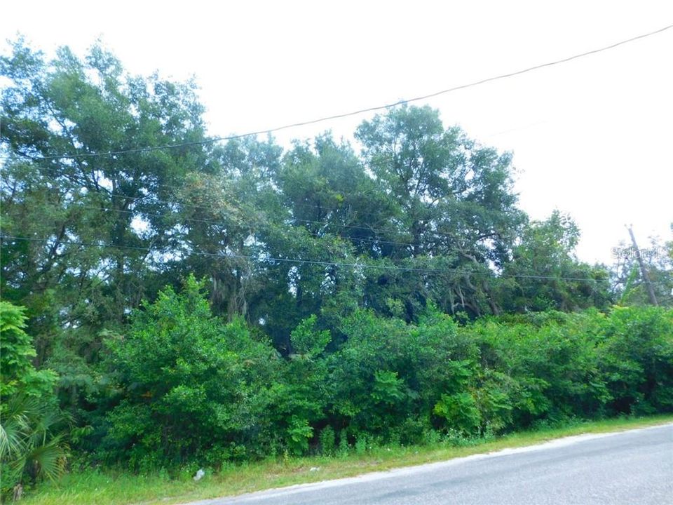 Recently Sold: $15,500 (0.40 acres)