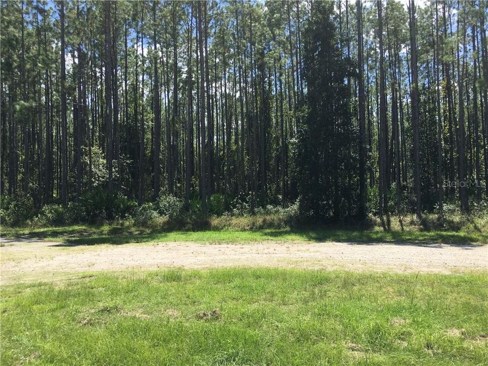 Standing in center of cul-de-sac looking towards property.