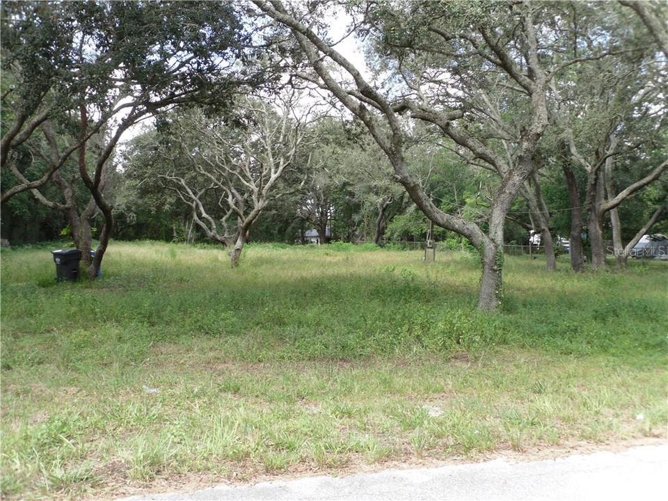 最近售出: $95,000 (0.80 acres)