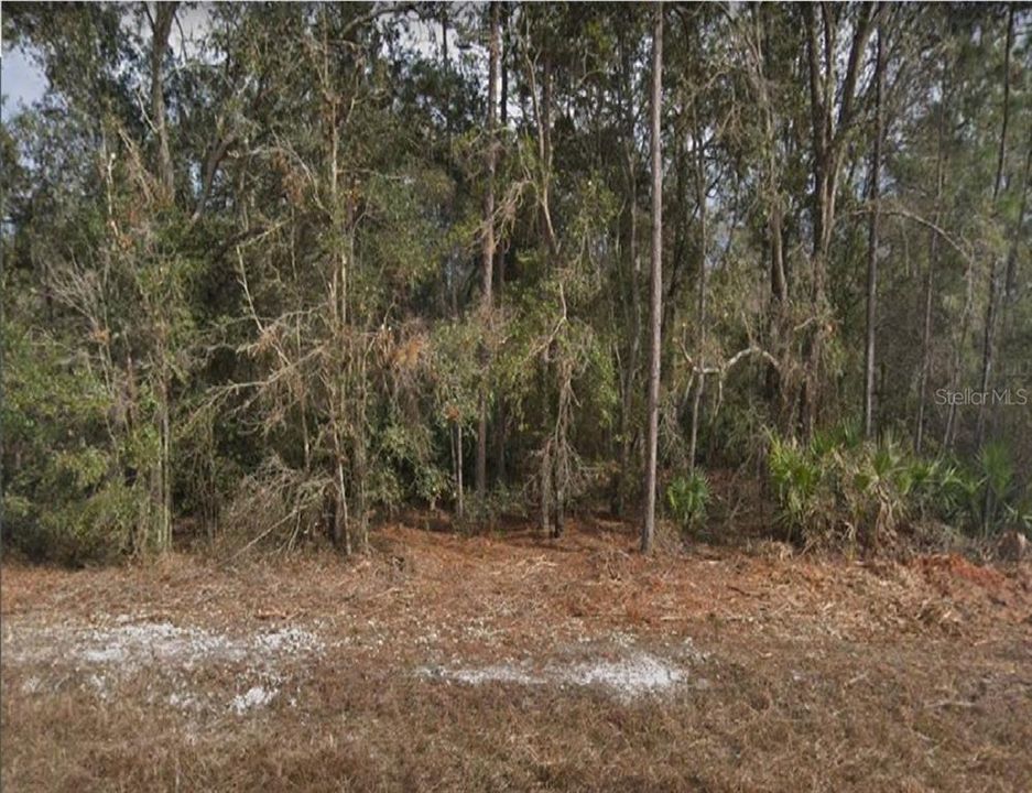 Недавно продано: $20,900 (1.00 acres)