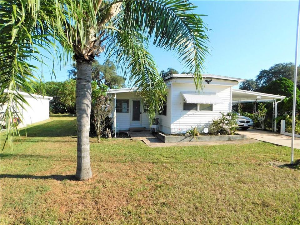 Beautiful Florida home even has palm tree in front yard.