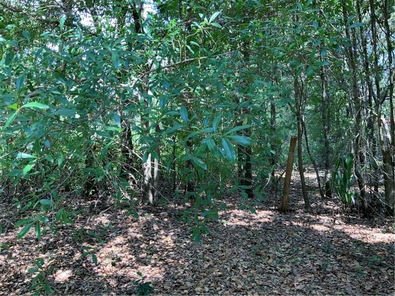 Recently Sold: $79,000 (1.26 acres)