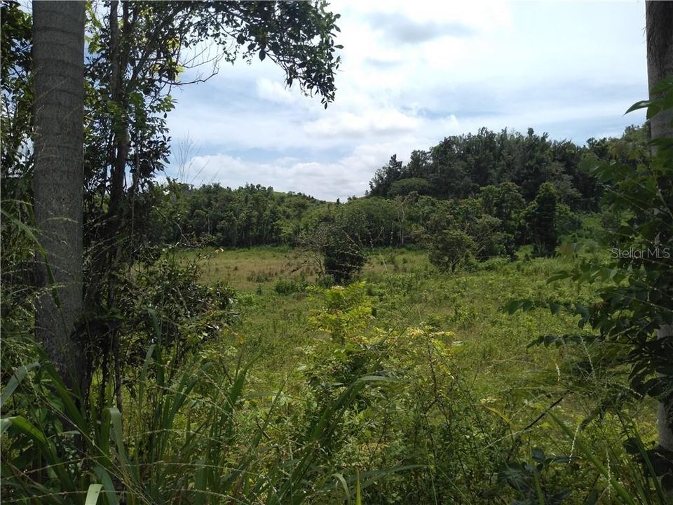 Recently Sold: $45,000 (4.80 acres)