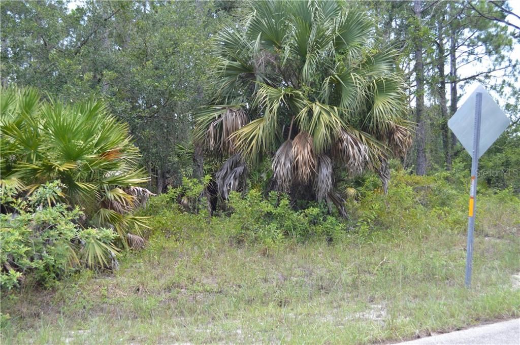 Vendido Recientemente: $7,900 (0.25 acres)