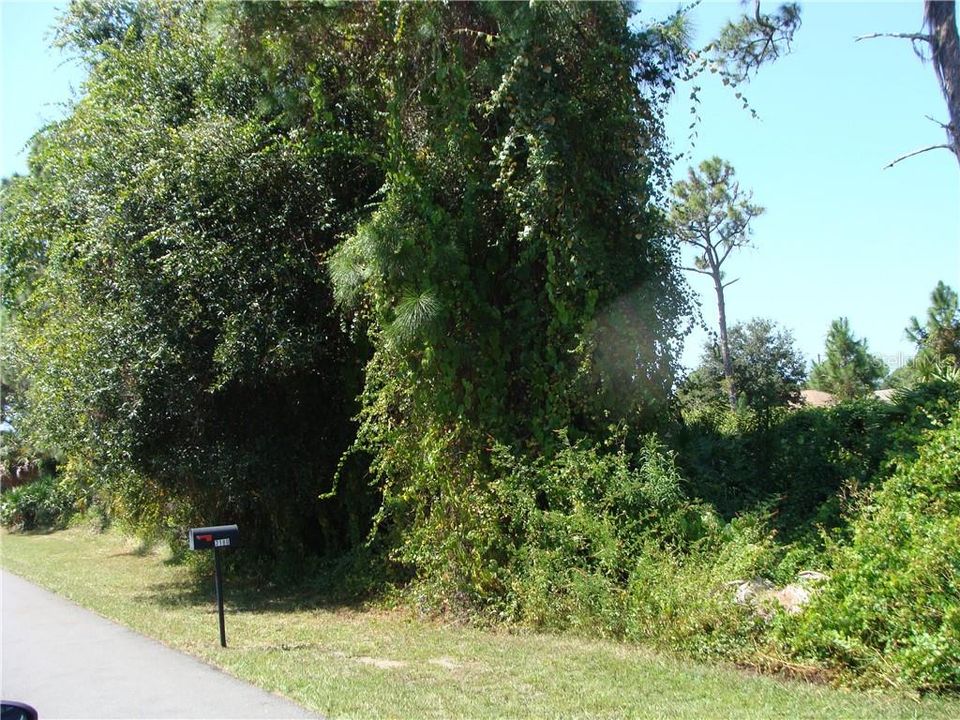 最近售出: $7,900 (0.23 acres)