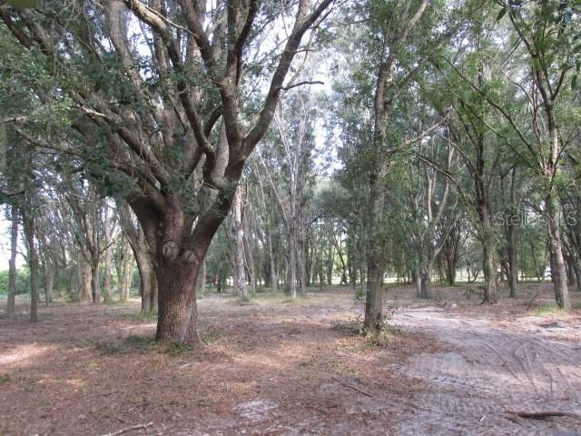 Recently Sold: $110,000 (1.20 acres)