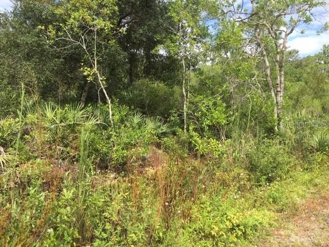 Recently Sold: $28,000 (0.75 acres)