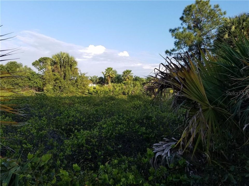 Недавно продано: $9,000 (0.23 acres)