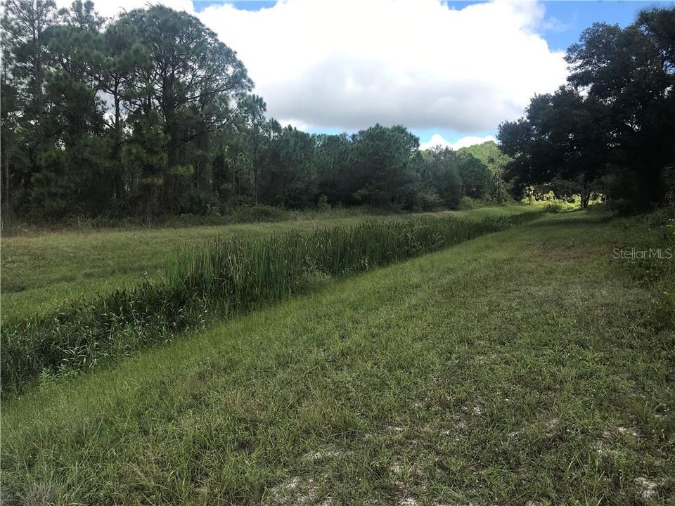 View of back lot and drainage right of way.