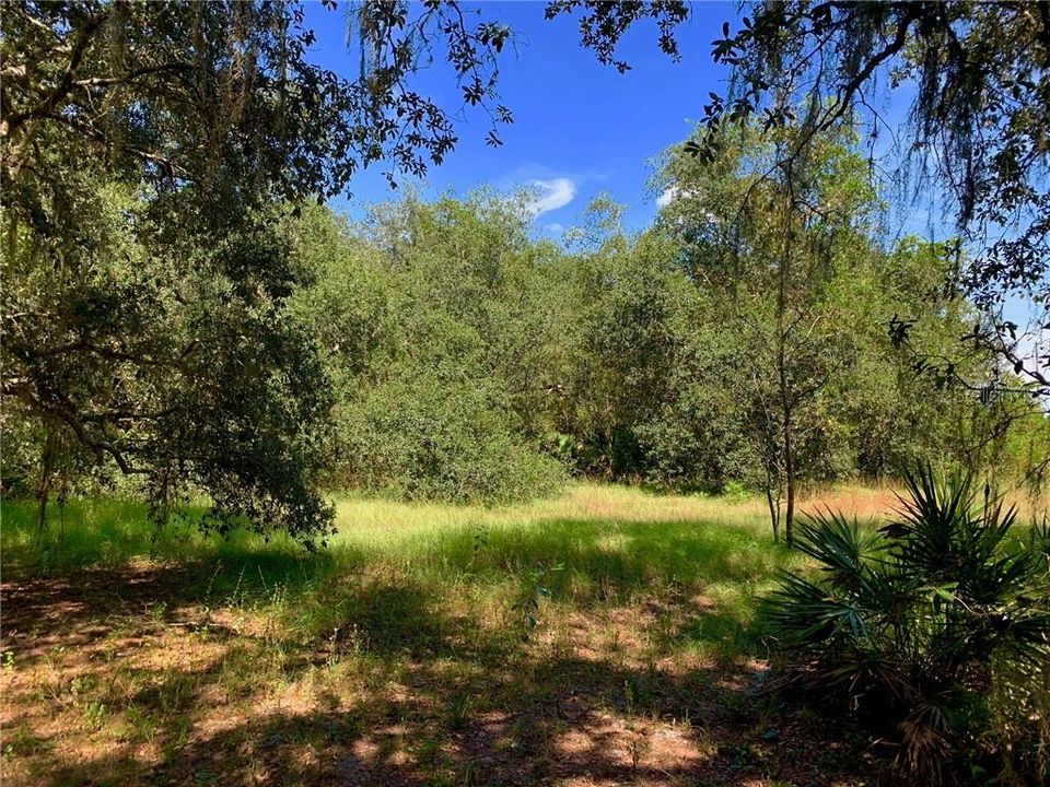 Vendido Recientemente: $97,500 (10.03 acres)
