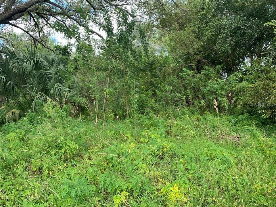 Vendido Recientemente: $8,000 (0.20 acres)