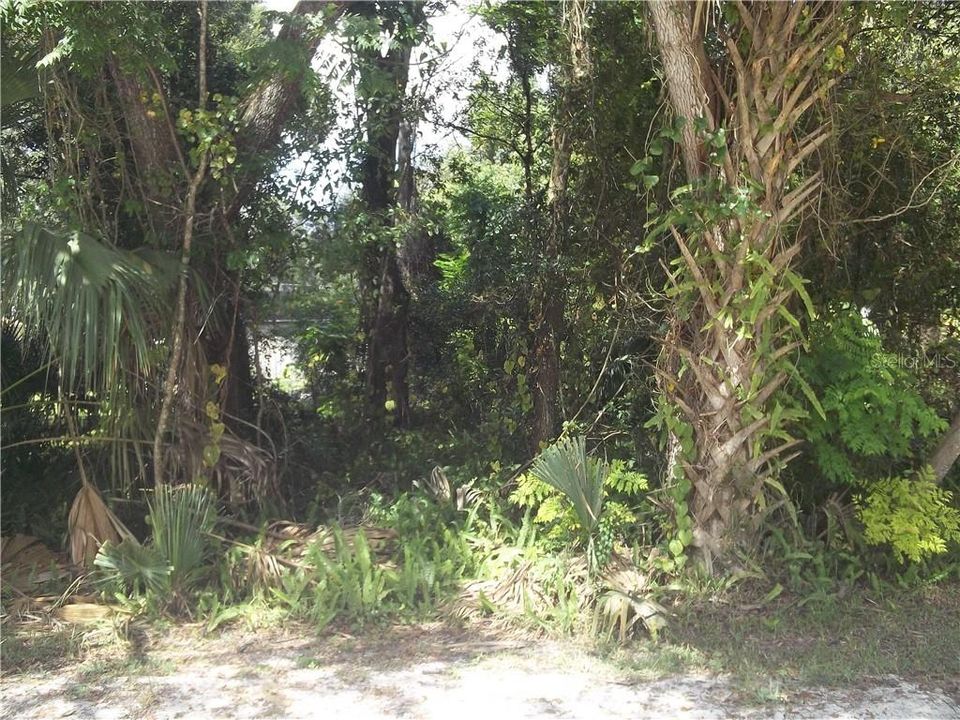 Vendido Recientemente: $8,000 (0.11 acres)