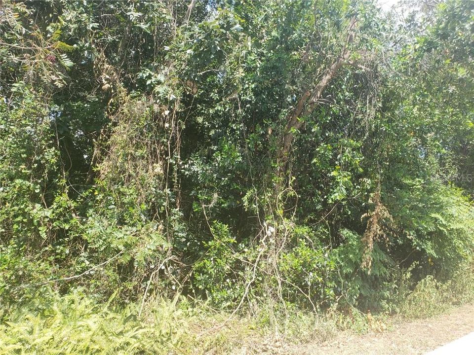 Recently Sold: $25,000 (0.24 acres)