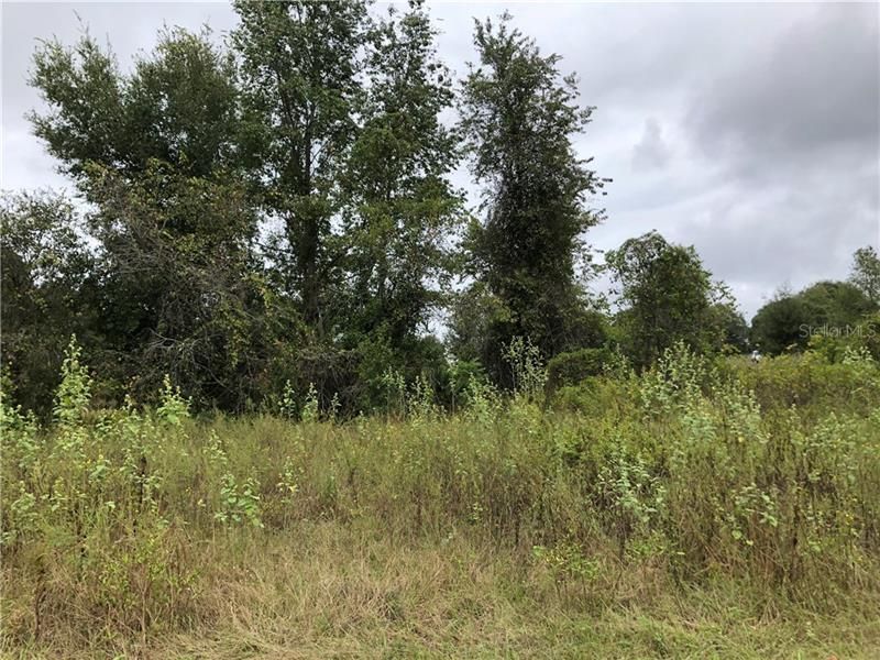 Recently Sold: $49,900 (1.50 acres)