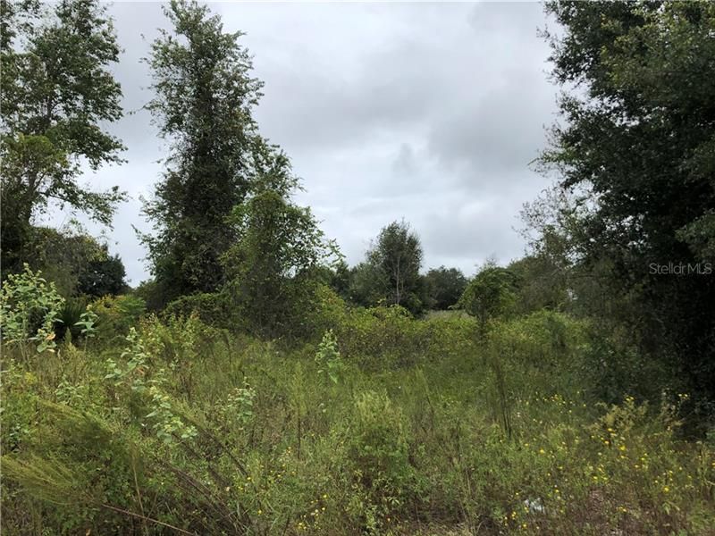 Recently Sold: $49,900 (1.50 acres)