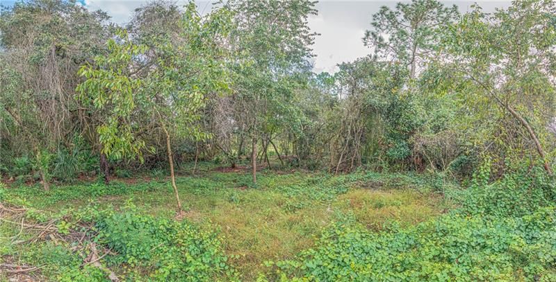 Recently Sold: $9,000 (0.29 acres)