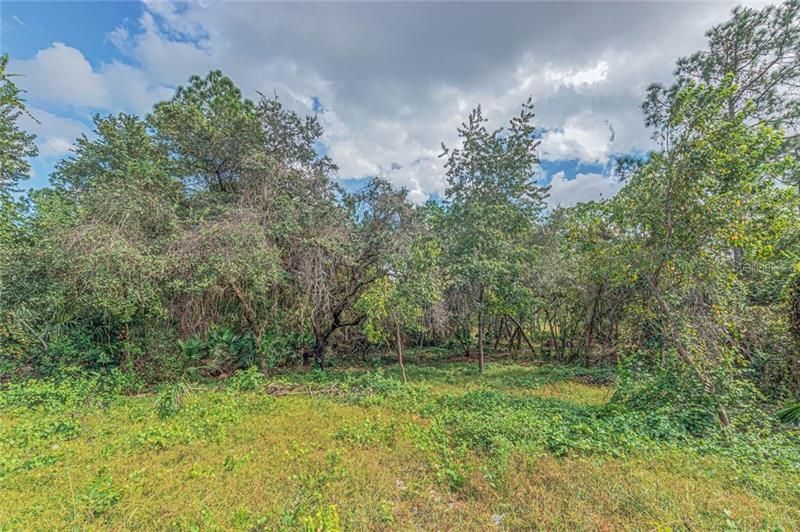 Recently Sold: $9,000 (0.29 acres)