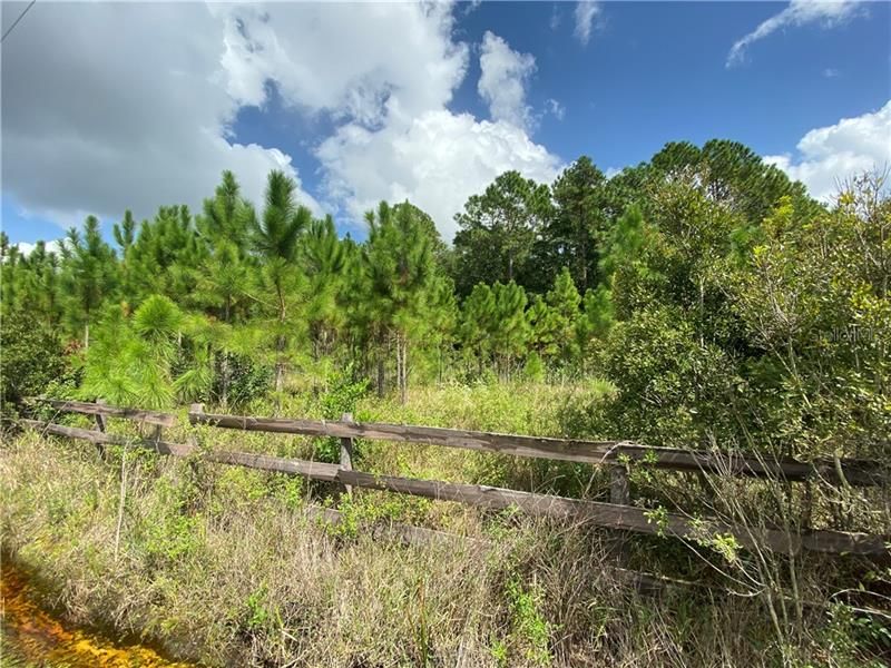 Recently Sold: $39,800 (6.85 acres)