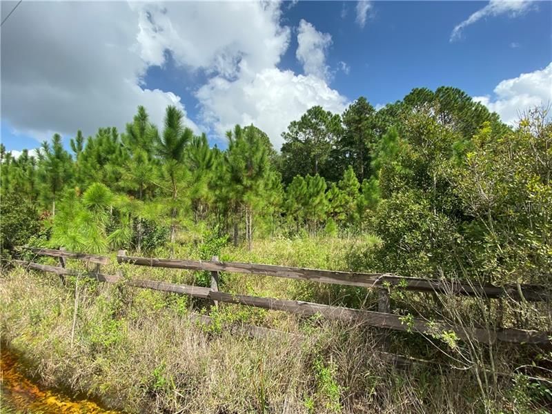 Vendido Recientemente: $39,800 (6.85 acres)