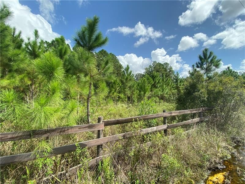 Recently Sold: $39,800 (6.85 acres)